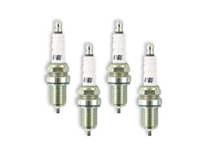 ACCEL HP Copper Spark Plug - Shorty