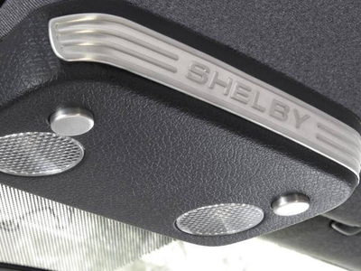 SHELBY MAP LIGHT ACCENTS