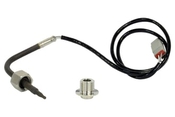 AEM RTD-Type Temperature Sensor