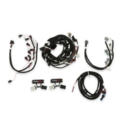 Ford Coyote Ti-VCT Harness Kit