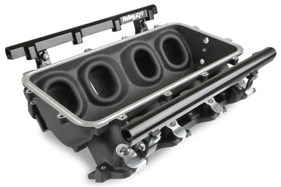 Base Manifold and Rail Kit for Lo-Ram - LS1/LS2/LS6 Black Finish with Single Injector manifold and fuel rails